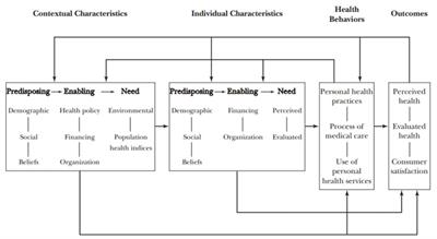 Uses of Andersen health services utilization framework to determine healthcare utilization for mental health among migrants—a scoping review